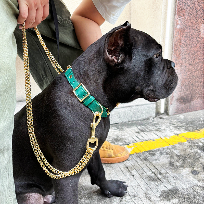 Loudik Wholesale Pet Collar Le - đánh giá và giá Leather Strap Quick Release