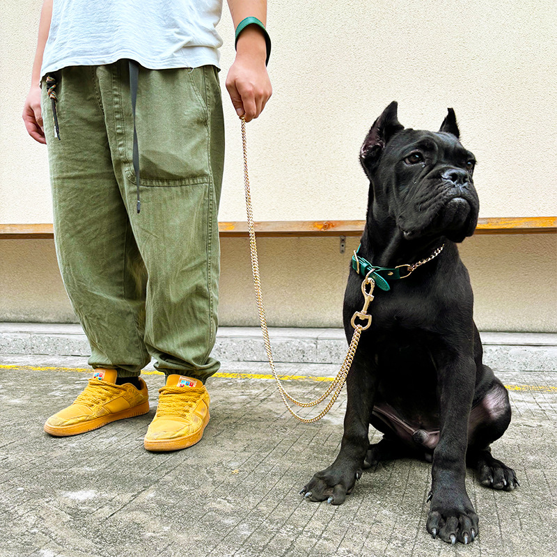 Loudik Wholesale Pet Collar Le - đánh giá và giá Leather Strap Quick Release